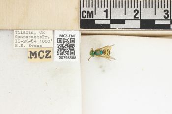 Media type: image;   Entomology 798588 Aspect: Labels